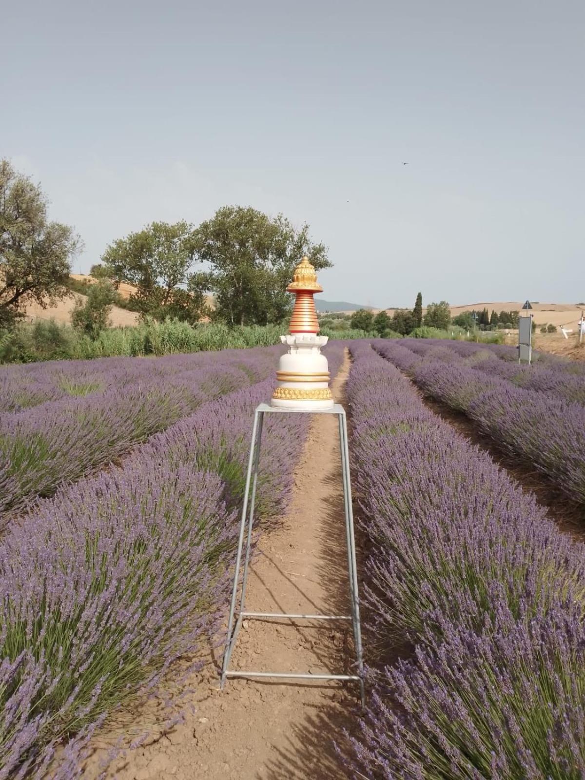 Casa Storica Con Terrazzo Holiday home Castellina Marittima